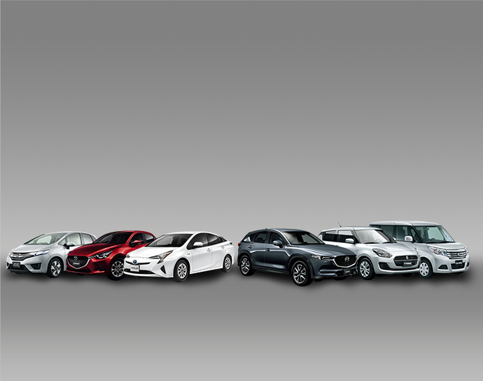 Braka 07 Car Rentals